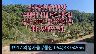 #917 의성가음부동산 계곡막장땅 사과밭 11년생 창고(30평) 1254평 (실1800평사용 군유지550평 더사용) 9700만 (당7.7만) 싼땅 저온창고(4평) 건축가능 농기계줌