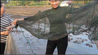 1889 / Đặt lú ếch mùa trục đồng