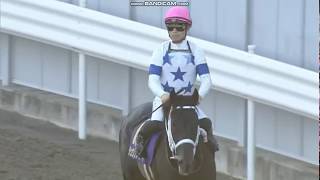 １月２９日　川崎競馬　川﨑記念　結果