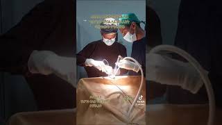 Tonsilectomy for OSA, የቶንሲል ቀዶ ህክምና ለታፈነ ህፃን, #ethiopia #health