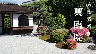 [京都観光]大徳寺 塔頭「興臨院」