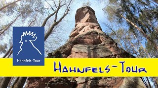 Wanderung : Hahnfels-Tour : Pfälzerwald