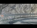 日光　いろは坂 ゆっくり運転 第1いろは 下り 1080p60ﾌﾚｰﾑ