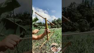 বাঁশ #archery #sword #satisfying #weapons #diy #handmade #amazing #apurbomondol #craft