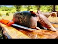 Smoked ARMADILLO (Catch Clean Cook) FEEDING MY FAMILY & FRIENDS