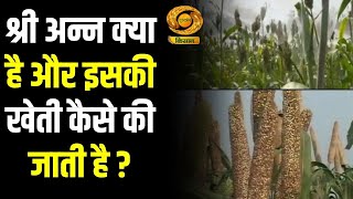 श्री अन्न क्या है और इसकी खेती कैसे की जाती है ?|Hello Kisan|Farme News | Agricluture|Kisan|DD Kisan