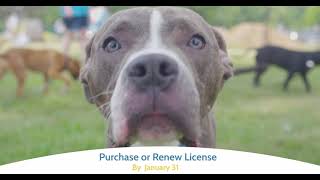 Get your Lucas County dog license for 2024