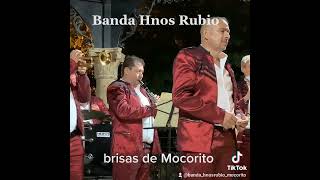 Banda Hnos Rubio de Mocorito. Brisas de Mocorito. videos en vivo.