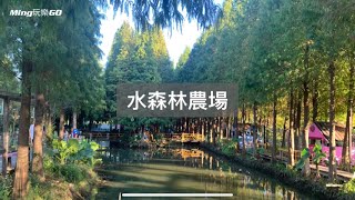 （彰化市）水森林農場，湖畔落雨松美景，入園每位$100人潮眾多要來請三思。