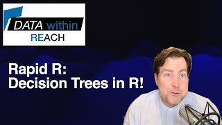 Rapid R: Decision Trees for Classification | R Programming Quick Reference