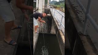 New Primitive Technology FISH TRAP with Fishing SR #short