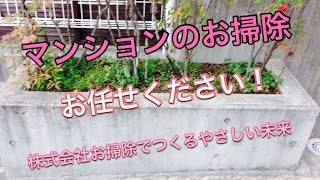 マンション アパート 巡回清掃 ゴミ置き場のお掃除 福岡市 （福岡県） 博多区 博多駅前