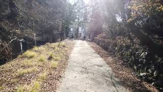 三峰神社　裏参道より鳥居