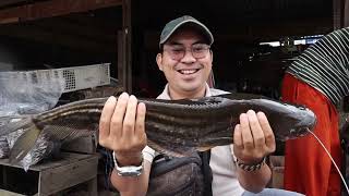 Beli Ole-Ole Keropok Basah / Ikan Tapah Danau Sentarum Di Pasar Lanjak,Kapuas Hulu,Kalimantan Barat…