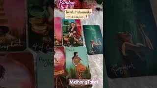 Random ใครที่..กำลังแอบสืบ แอบส่องคุณอยู่?#tarotreading#tarot#ดูดวงความรัก#meihongtarot