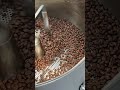 2025 01 28 自家焙煎風景　ペルー　 あんぱさんど　 小林市　 野尻町　 宮崎県　 coffee kobayashi miyazaki 自家焙煎 roast 珈琲