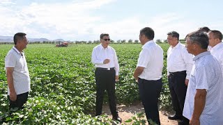 Xi inspects Xinjiang's Shihezi City