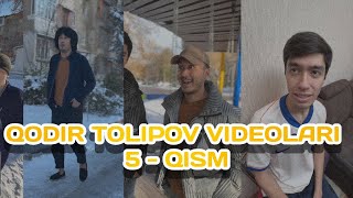 🔥Qodir Tolipov Vinelar To'plami 5-Qism ｜ Yangi Vaynlar ｜ Instagram Videolar 2024