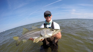 Releasing SLOT snook??? (Snook Dock Fishing)