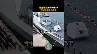 物量戦で海洋海軍の野望を夢見る中国