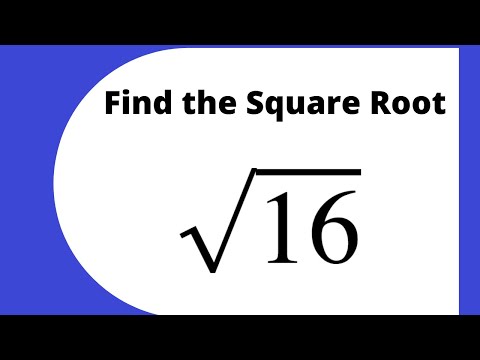 What are all the square root of 16?