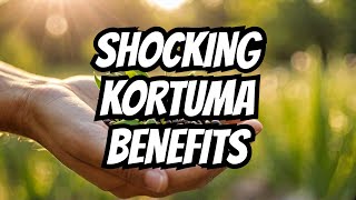 5 Shocking Benefits of Kortuma Kay Seeds You Never Knew