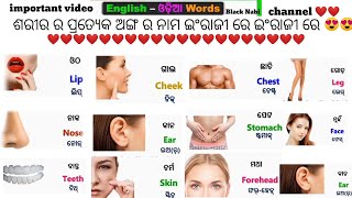 ମନୁଷ୍ୟ ର ଶରୀର ର ପ୍ରତ୍ୟେକ ଅଙ୍ଗ ର ନାମ English ରେ ଜାଣି ପାରିବେ।। Black nabi ।। Jds English club ।