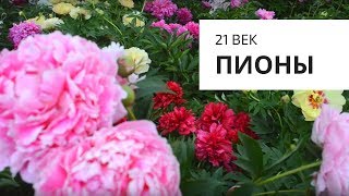 Пионы 21 века! Это надо видеть!