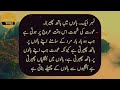 husband and wife quotes inspriational quotes in urdu life changing quotes