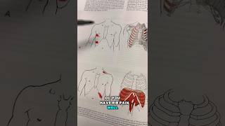 Instantly Relieve Rib Pain
