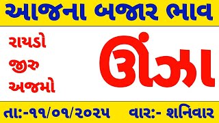 community price 11/01/2025|આજના ઊંઝા માર્કેટ યાર્ડ ના ભાવ|બજાર ભાવ આજના|unjha market yard