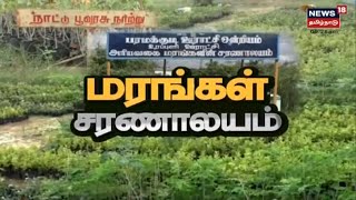 News18 Special | தமிழகத்தில் முதன் முறையாக தொடங்கப்பட்ட மரங்கள் சரணாலயம் | Paramakudi | Ramathapuram