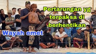 Wayah emet turun di partai extra || peresean terbaru