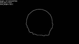 Radial Linear Visualizer Test