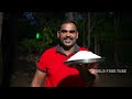 nool parotta parotta recipes world food tube