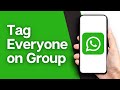 How To Tag Everyone In Whatsapp Group At Once - QUICK GUIDE