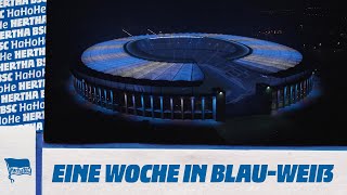 HaHoHe - Eine Woche in Blau-Weiß | 10. Spieltag | Hertha BSC vs. Union Berlin
