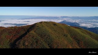 部子山の紅葉　4K空撮