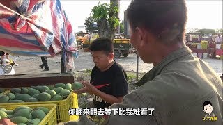 小六村長去市場了解芒果行情，遭到老闆的呵斥：不要翻動我的芒果