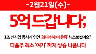 (위지트)- 1조 신사업 유치확정? 다음주 최소 '여기'까지 상승 나옵니다.