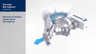 HEINKEL Ball Segment Valve