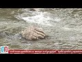 നാശനഷ്ടങ്ങള്‍ക്കൊപ്പം അത്ഭുതകാഴ്ചകളും a hand like structure appears in muthirapuzha river