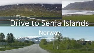 Senja Island  | Beautiful Lofoten Road Trip | Norway