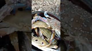 തലശ്ശേരി സ്പെഷ്യൽ വരത്തുഅരച്ച 🦀കറി ❤️#thalassery special crab