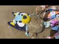 bluey’s beach fun vlog 🌊🐚 digging for pipi clams u0026 muddy puddle play