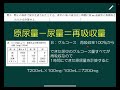 解説 腎臓・濃縮率　演習問題