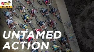 Untamed Action | Stage 4 | 2022 Absa Cape Epic