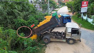 New Project!! 5T Trucks Unloading Soil Stone fill the Land and Kobuta Dozer Clearing Forest