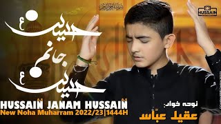 Hussain janam hussain jan | New Nohay 2022 | Aqeel Abbas | new farsi noha 2022 | Irfan Haider 2022