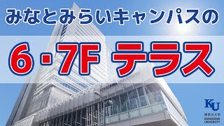 みなとみらいキャンパスのテラスは緑がたくさん！